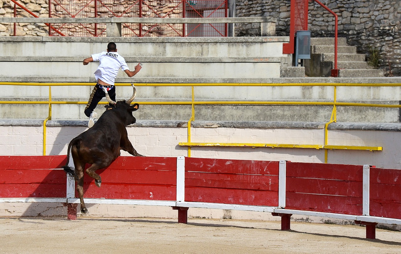实的防守