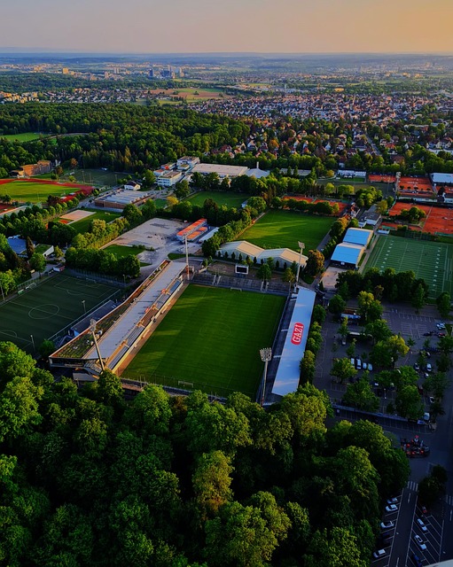 已經進入其 已經進入其