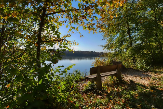 破局的秘密 破局的秘密
